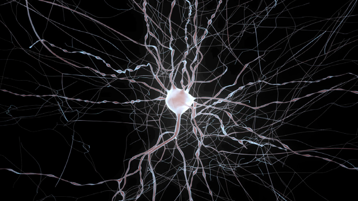 Bayesian Inference for Biophysical Neuron Models