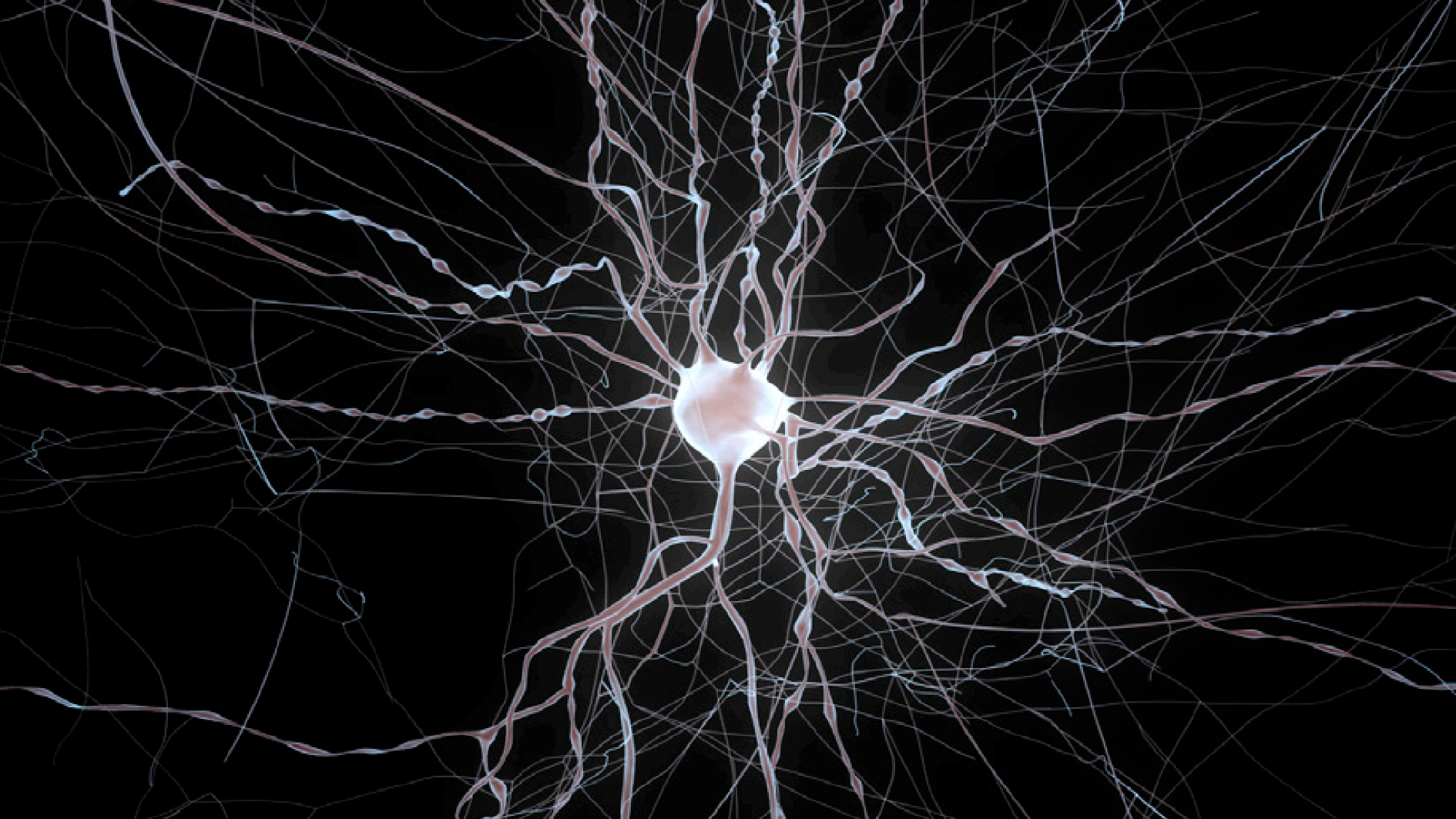 Bayesian Inference for Biophysical Neuron Models